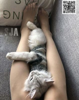 Home免费高清_剧情片在线播放